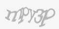 Защитный код