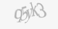 Защитный код