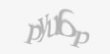 Защитный код