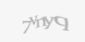 Защитный код