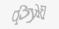 Защитный код