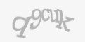 Защитный код