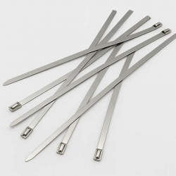 изображение_2026-02-06_212549554