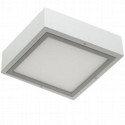 изображение_2026-04-14_230815425