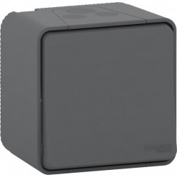 MUR35021_1